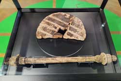 worlds oldest wooden wheel